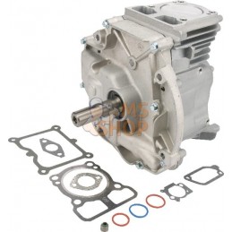 Bloc court Dov 80x22,2 | BRIGGS & STRATTON Bloc court Dov 80x22,2 | BRIGGS & STRATTONPR#405482