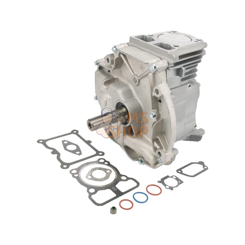 Bloc court Dov 80x22,2 | BRIGGS & STRATTON Bloc court Dov 80x22,2 | BRIGGS & STRATTONPR#405482 Bloc court Dov 80x22,2 | BRIGGS & STRATTON Bloc court Dov 80x22,2 | BRIGGS & STRATTONPR#405482
