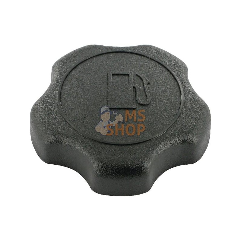Bouchon de réservoir Grand(e) | BRIGGS & STRATTON Bouchon de réservoir Grand(e) | BRIGGS & STRATTONPR#25409 Bouchon de réservoir Grand(e) | BRIGGS & STRATTON Bouchon de réservoir Grand(e) | BRIGGS & STRATTONPR#25409