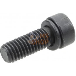 Vis | BRIGGS & STRATTON Vis | BRIGGS & STRATTONPR#408581