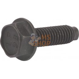 Vis | BRIGGS & STRATTON Vis | BRIGGS & STRATTONPR#407412