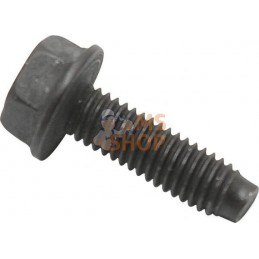 Vis | BRIGGS & STRATTON Vis | BRIGGS & STRATTONPR#407412