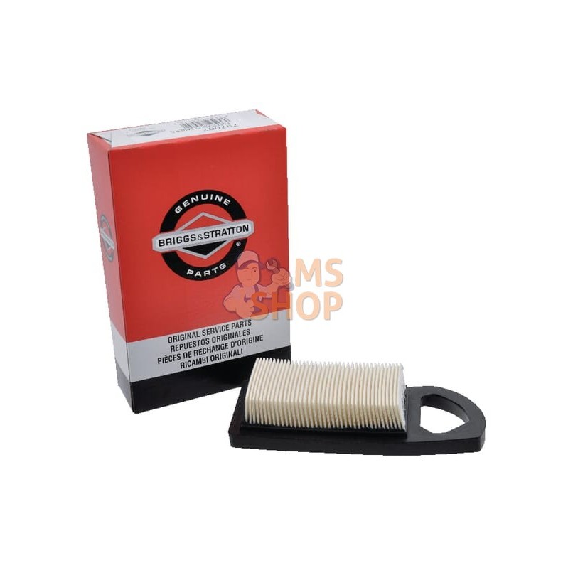 Filtre à air (4213) | BRIGGS & STRATTON Filtre à air (4213) | BRIGGS & STRATTONPR#102868 Filtre à air (4213) | BRIGGS & STRATTON Filtre à air (4213) | BRIGGS & STRATTONPR#102868