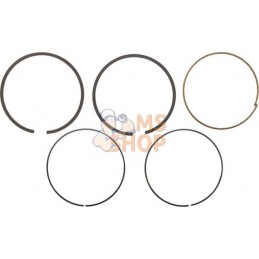 Kit de segments std | BRIGGS & STRATTON Kit de segments std | BRIGGS & STRATTONPR#407402