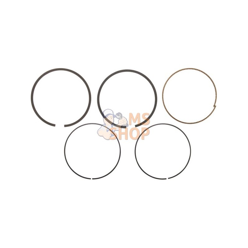 Kit de segments std | BRIGGS & STRATTON Kit de segments std | BRIGGS & STRATTONPR#407402