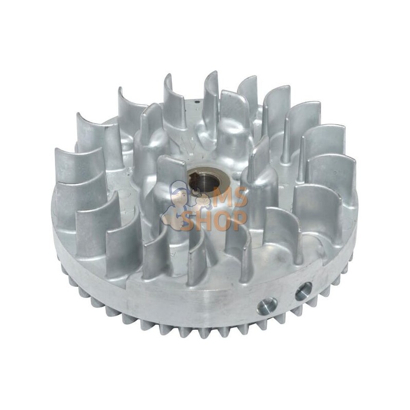 Volant d'inertie | BRIGGS & STRATTON Volant d'inertie | BRIGGS & STRATTONPR#407404 Volant d'inertie | BRIGGS & STRATTON Volant d'inertie | BRIGGS & STRATTONPR#407404