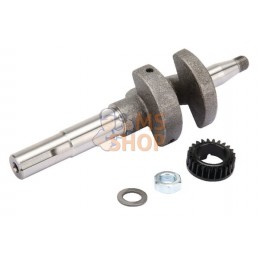 Vilebrequin | BRIGGS & STRATTON Vilebrequin | BRIGGS & STRATTONPR#211309