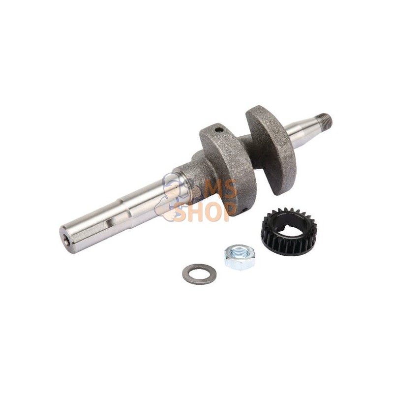 Vilebrequin | BRIGGS & STRATTON Vilebrequin | BRIGGS & STRATTONPR#211309