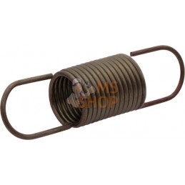 Ressort de régulateur | BRIGGS & STRATTON Ressort de régulateur | BRIGGS & STRATTONPR#407475