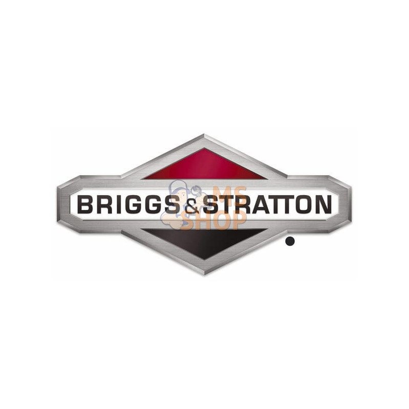 Joint de queue de soupape | BRIGGS & STRATTON Joint de queue de soupape | BRIGGS & STRATTONPR#404146