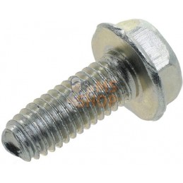 Vis | BRIGGS & STRATTON Vis | BRIGGS & STRATTONPR#404142