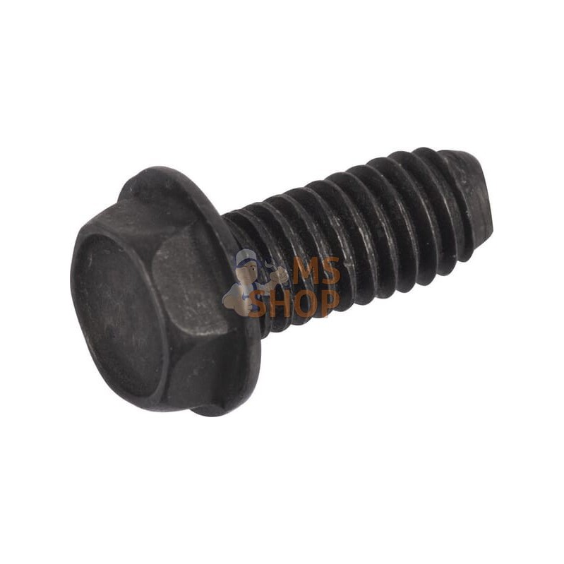 Vis | BRIGGS & STRATTON Vis | BRIGGS & STRATTONPR#211465