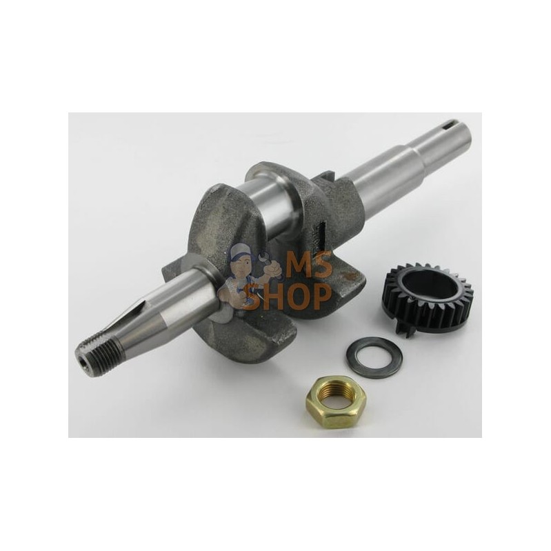 Vilebrequin | BRIGGS & STRATTON Vilebrequin | BRIGGS & STRATTONPR#42833