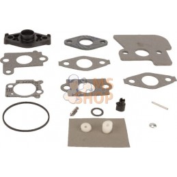 Kit de réparation carburateur | BRIGGS & STRATTON Kit de réparation carburateur | BRIGGS & STRATTONPR#25400