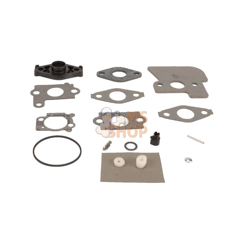Kit de réparation carburateur | BRIGGS & STRATTON Kit de réparation carburateur | BRIGGS & STRATTONPR#25400