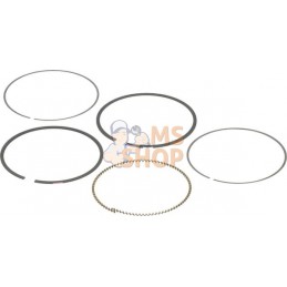 Kit de segments | BRIGGS & STRATTON Kit de segments | BRIGGS & STRATTONPR#407411