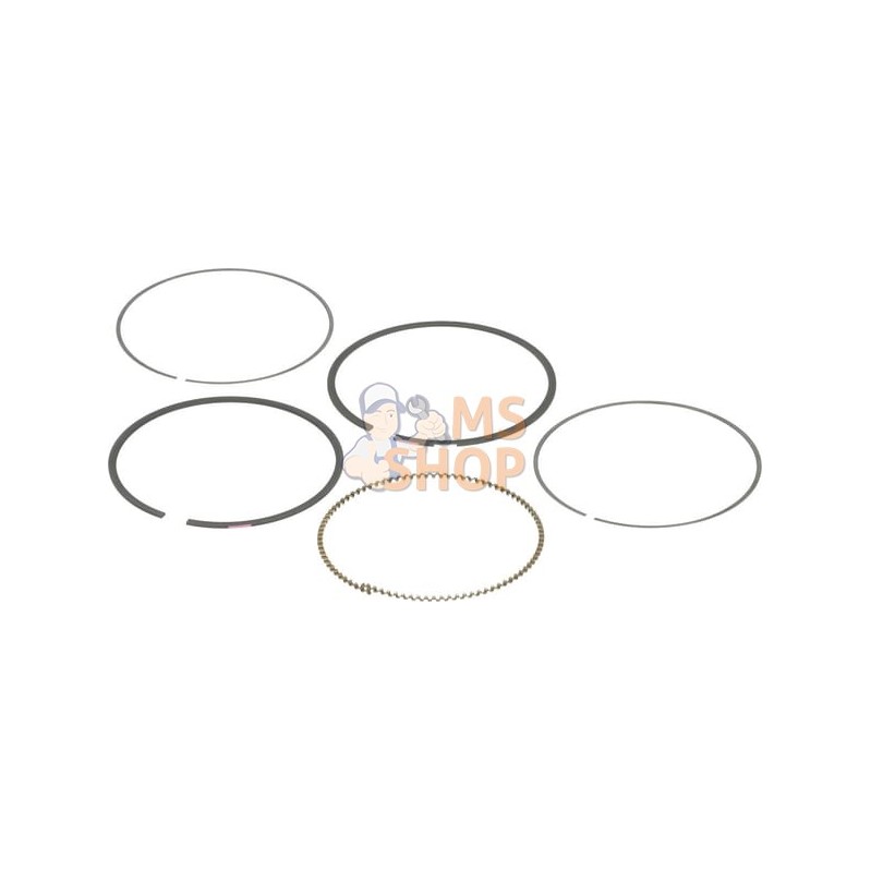 Kit de segments | BRIGGS & STRATTON Kit de segments | BRIGGS & STRATTONPR#407411