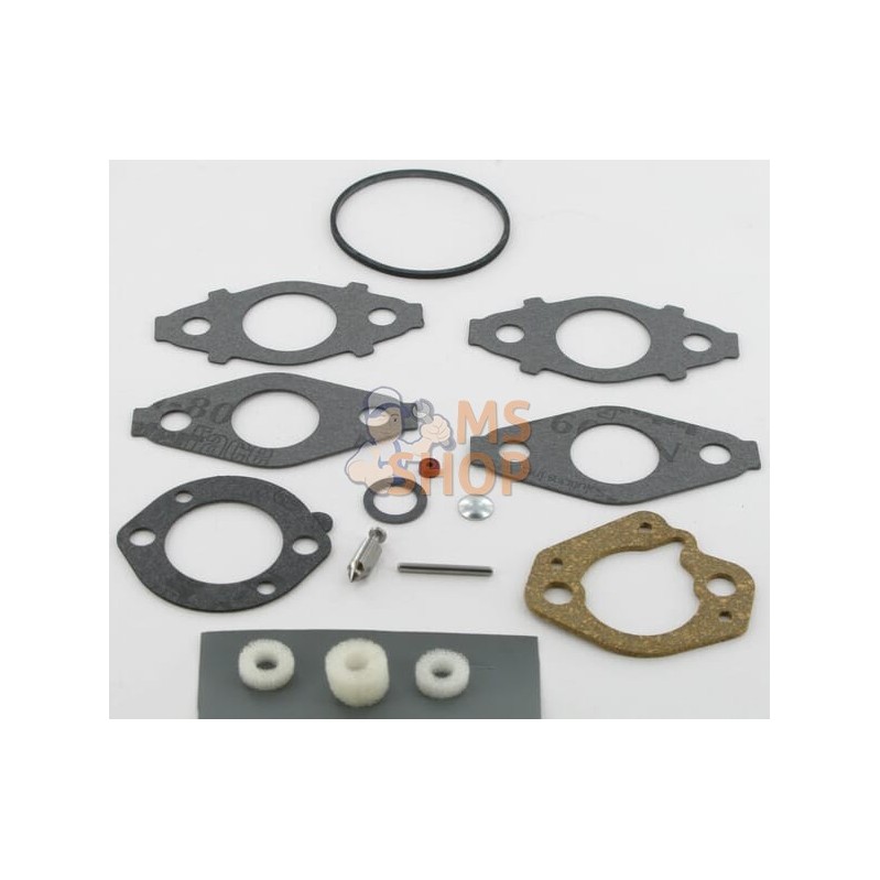 Carburateur Kit de réparation | BRIGGS & STRATTON Carburateur Kit de réparation | BRIGGS & STRATTONPR#26265