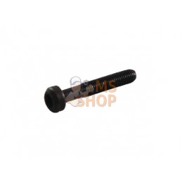 Boulon de bielle | BRIGGS & STRATTON Boulon de bielle | BRIGGS & STRATTONPR#42075