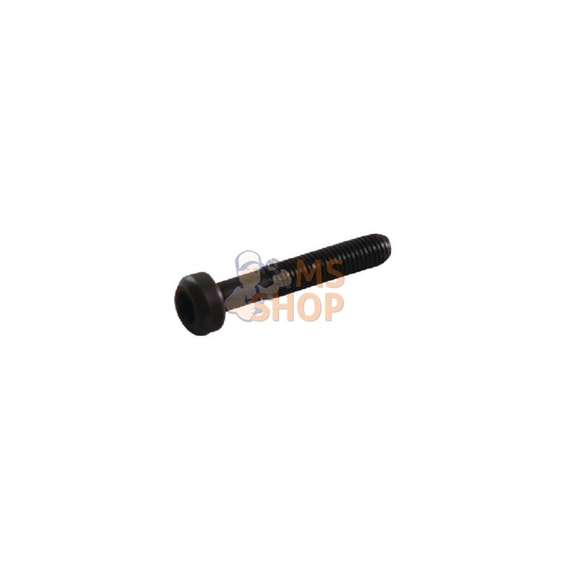 Boulon de bielle | BRIGGS & STRATTON Boulon de bielle | BRIGGS & STRATTONPR#42075