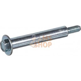 Vis | BRIGGS & STRATTON Vis | BRIGGS & STRATTONPR#42861