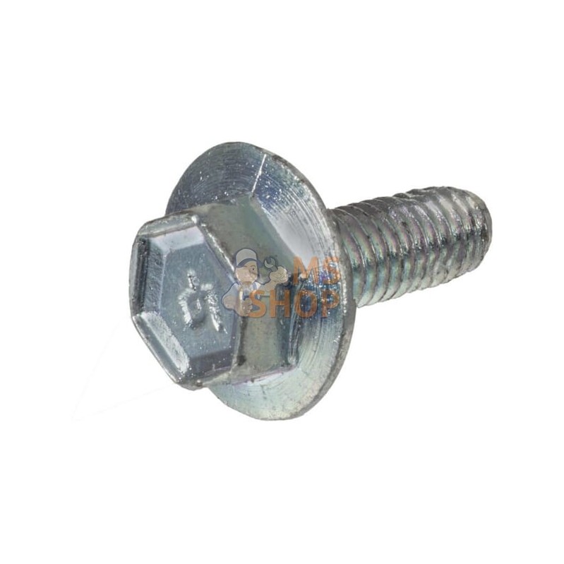 Vis | BRIGGS & STRATTON Vis | BRIGGS & STRATTONPR#211476