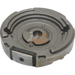 Volant d'inertie | BRIGGS & STRATTON Volant d'inertie | BRIGGS & STRATTONPR#407430