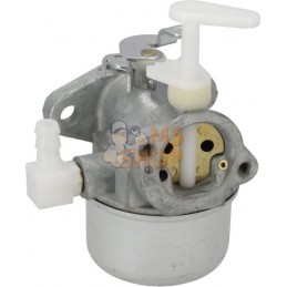 Carburateur | BRIGGS & STRATTON Carburateur | BRIGGS & STRATTONPR#404269