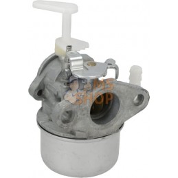 Carburateur | BRIGGS & STRATTON Carburateur | BRIGGS & STRATTONPR#404269