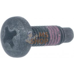 Vis | BRIGGS & STRATTON Vis | BRIGGS & STRATTONPR#102706