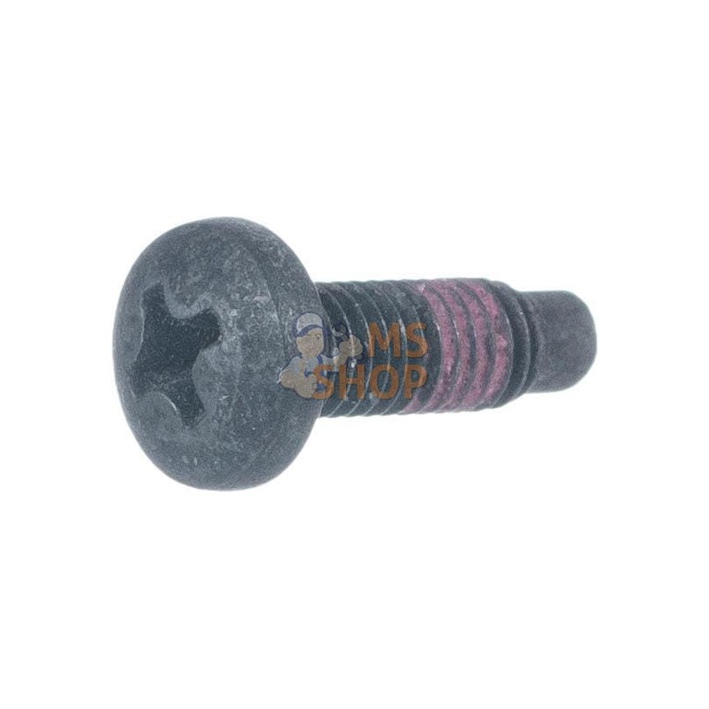 Vis | BRIGGS & STRATTON Vis | BRIGGS & STRATTONPR#102706