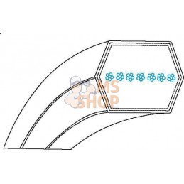 Courroie 6 pans | MTD Courroie 6 pans | MTDPR#33521