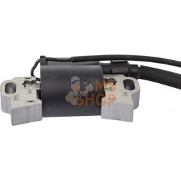 Bobine, MTD | MTD Bobine, MTD | MTDPR#724170
