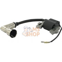 Bobine d'allumage MTD | MTD Bobine d'allumage MTD | MTDPR#31972