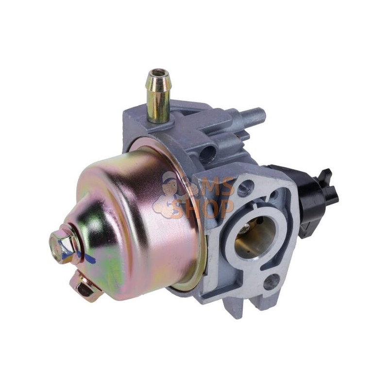 Carburateur | MTD Carburateur | MTDPR#766553