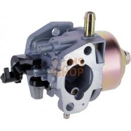 Carburateur | MTD Carburateur | MTDPR#766553
