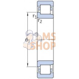 Roulement à rouleaux cylindriques 55x100x21 mm SKF | SKF Roulement à rouleaux cylindriques 55x100x21 mm SKF | SKFPR#671736
