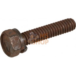 Boulon M8x35 | BRIGGS & STRATTON Boulon M8x35 | BRIGGS & STRATTONPR#101936
