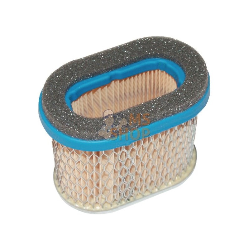 Filtre à air (VF273356S) | BRIGGS & STRATTON Filtre à air (VF273356S) | BRIGGS & STRATTONPR#25329 Filtre à air (VF273356S) | BRIGGS & STRATTON Filtre à air (VF273356S) | BRIGGS & STRATTONPR#25329