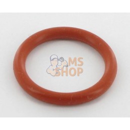 Joint torique | BRIGGS & STRATTON Joint torique | BRIGGS & STRATTONPR#25982