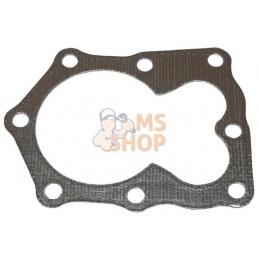 Joint de culasse | BRIGGS & STRATTON Joint de culasse | BRIGGS & STRATTONPR#25313