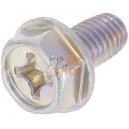 Vis | BRIGGS & STRATTON Vis | BRIGGS & STRATTONPR#403925