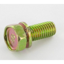 Vis | BRIGGS & STRATTON Vis | BRIGGS & STRATTONPR#42857