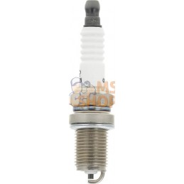 Bougie | BRIGGS & STRATTON Bougie | BRIGGS & STRATTONPR#211808