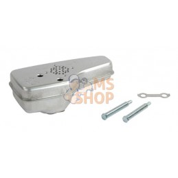 Echappement | BRIGGS & STRATTON Echappement | BRIGGS & STRATTONPR#25285