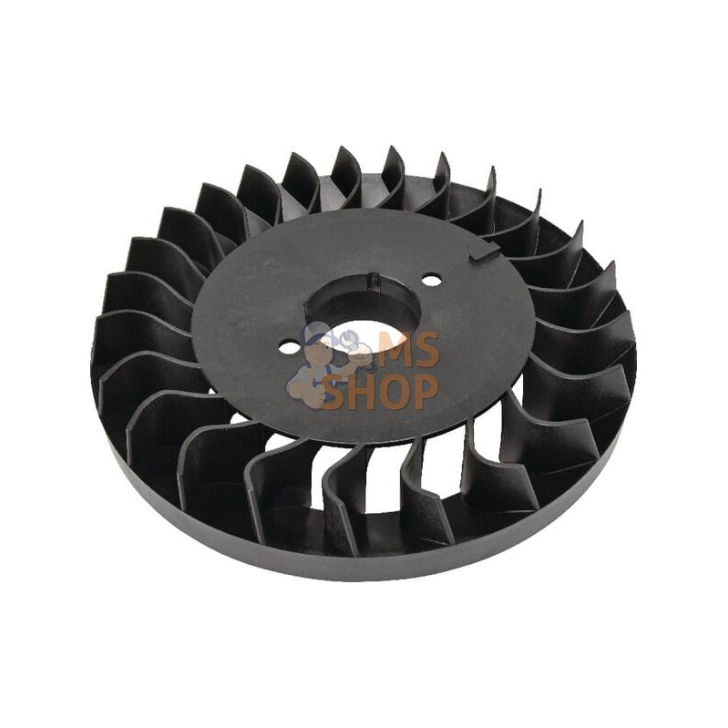 Ventilateur de volant | BRIGGS & STRATTON Ventilateur de volant | BRIGGS & STRATTONPR#42785