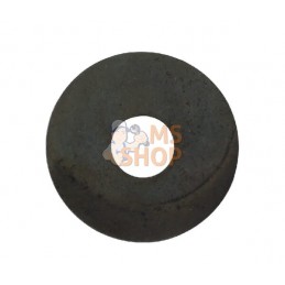 Bague | BRIGGS & STRATTON Bague | BRIGGS & STRATTONPR#41938