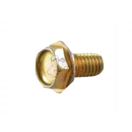 Vis auto taraudeuse | BRIGGS & STRATTON Vis auto taraudeuse | BRIGGS & STRATTONPR#25874