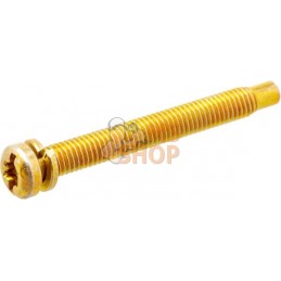 Vis | BRIGGS & STRATTON Vis | BRIGGS & STRATTONPR#404063
