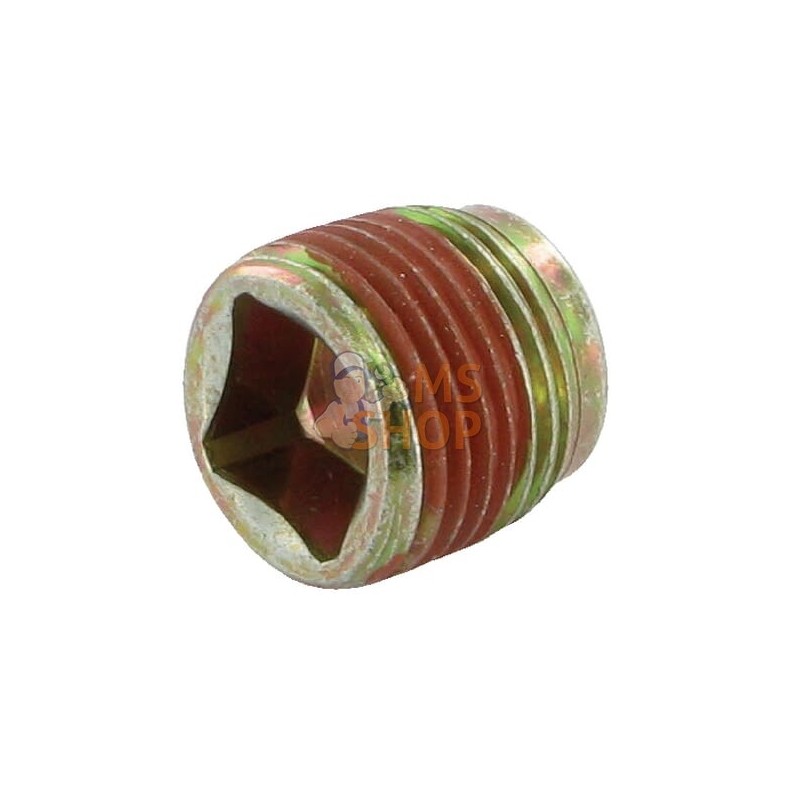 Bouchon de carter | BRIGGS & STRATTON Bouchon de carter | BRIGGS & STRATTONPR#25871